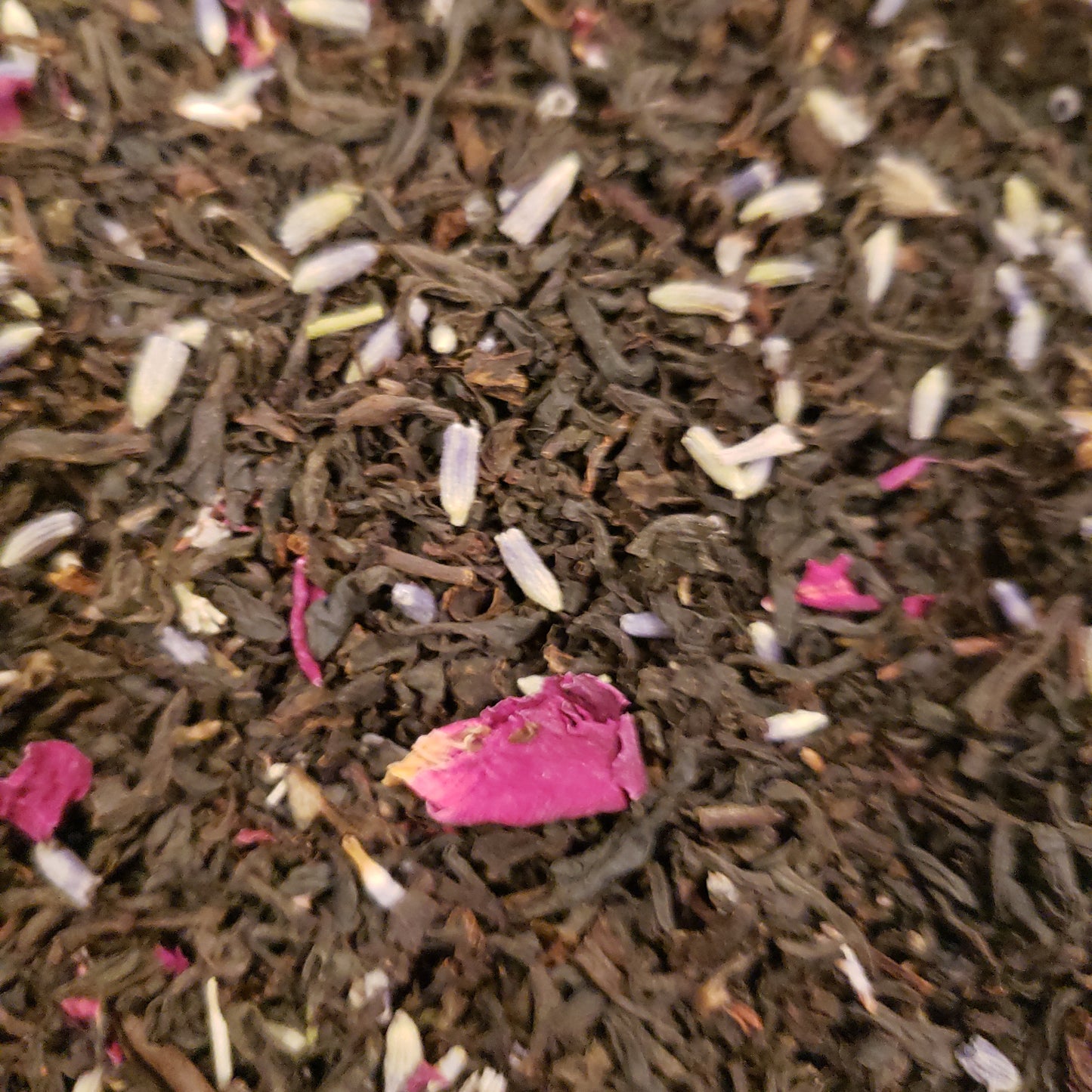 Parisian Fields de Lavender